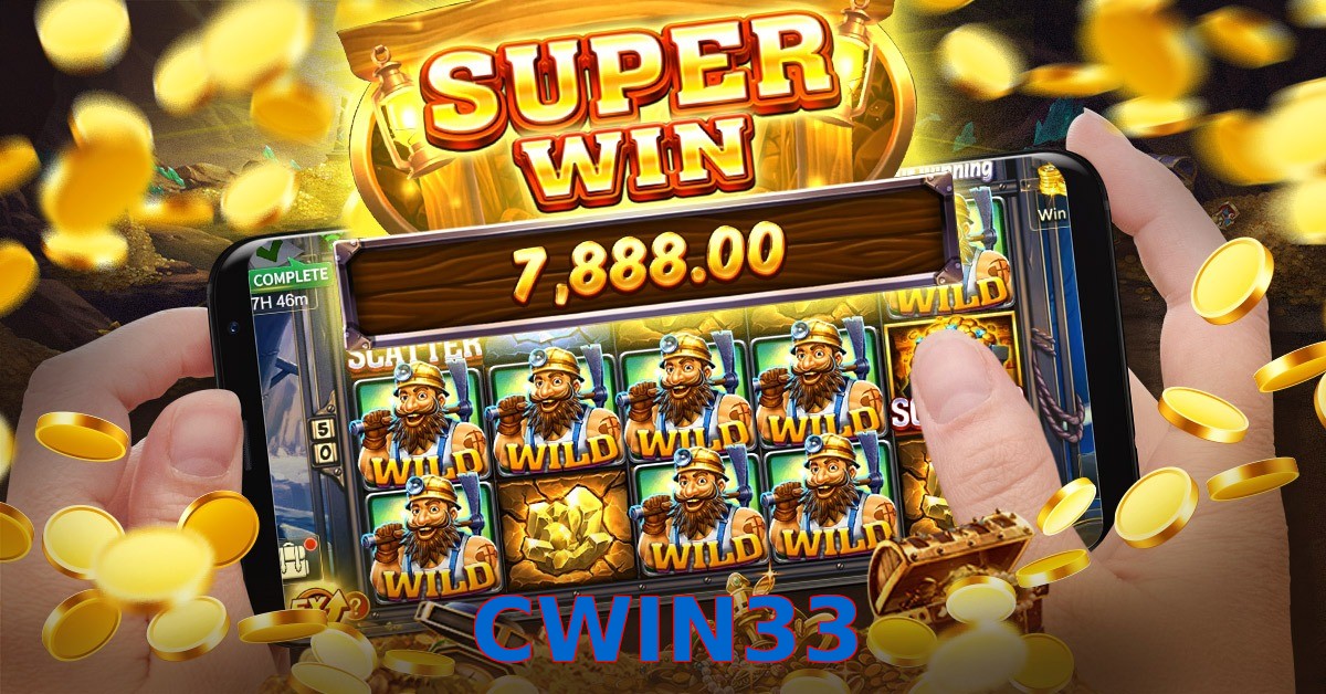 CWIN33