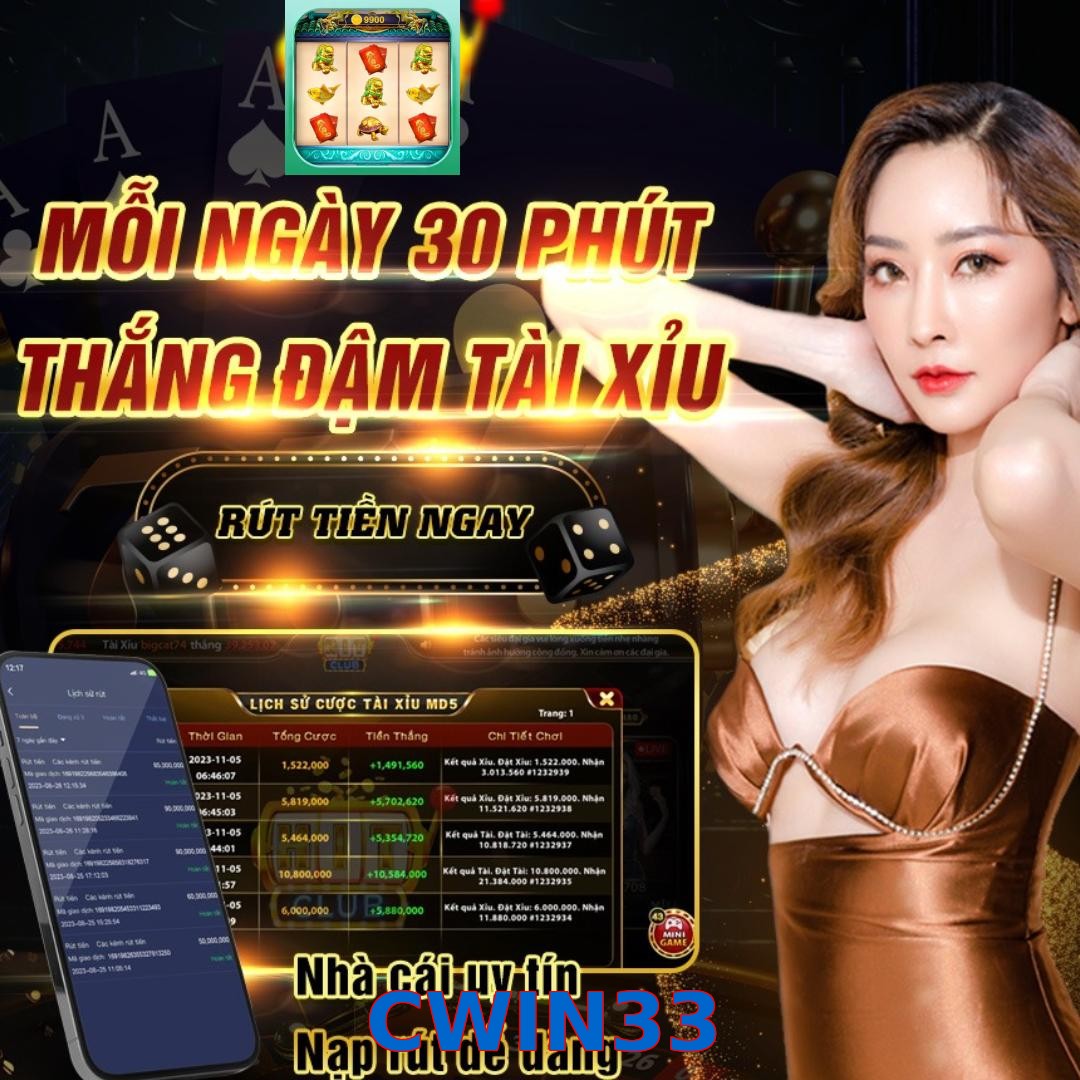 CWIN33