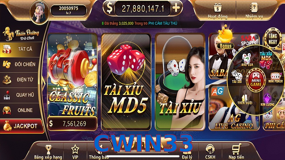 CWIN33