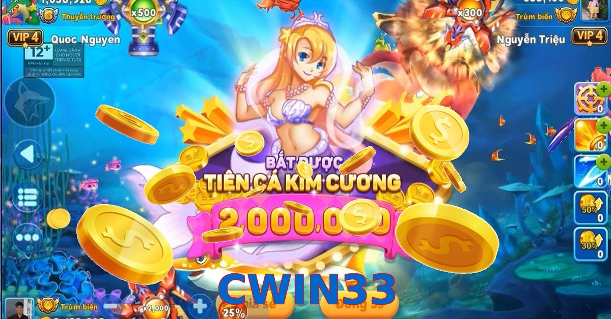 CWIN33
