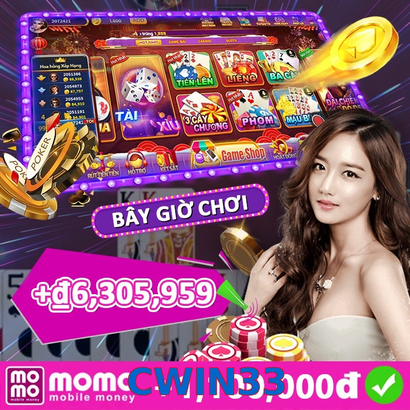 CWIN33
