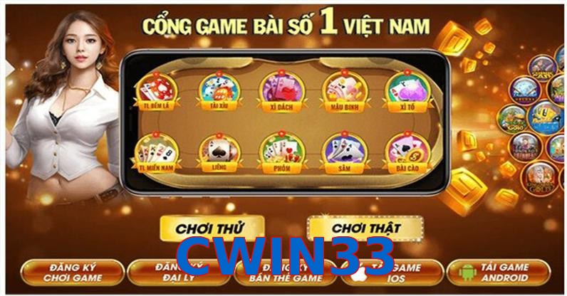CWIN33