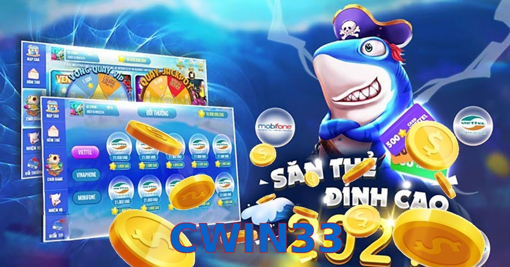 CWIN33