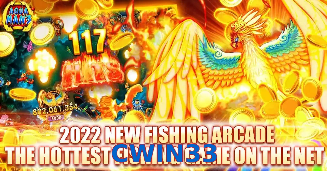 CWIN33