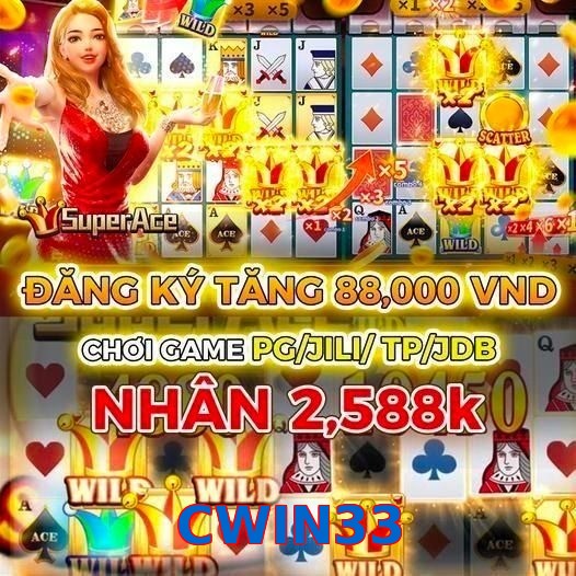 CWIN33