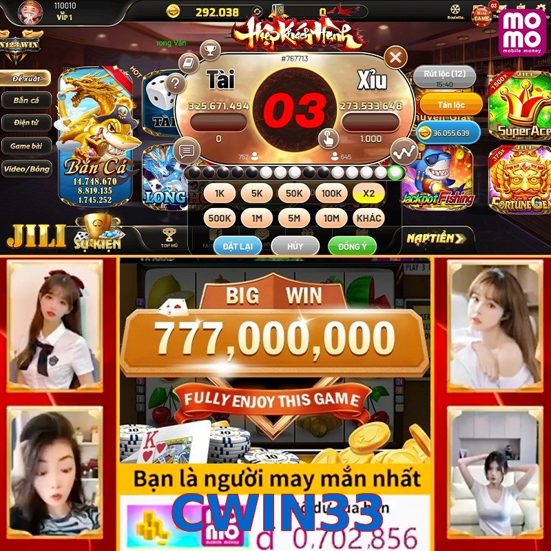 CWIN33