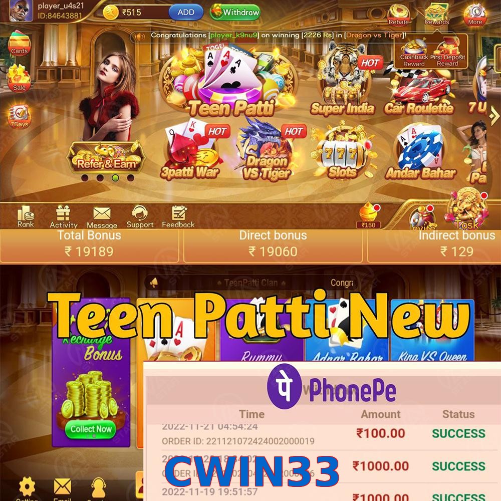 CWIN33