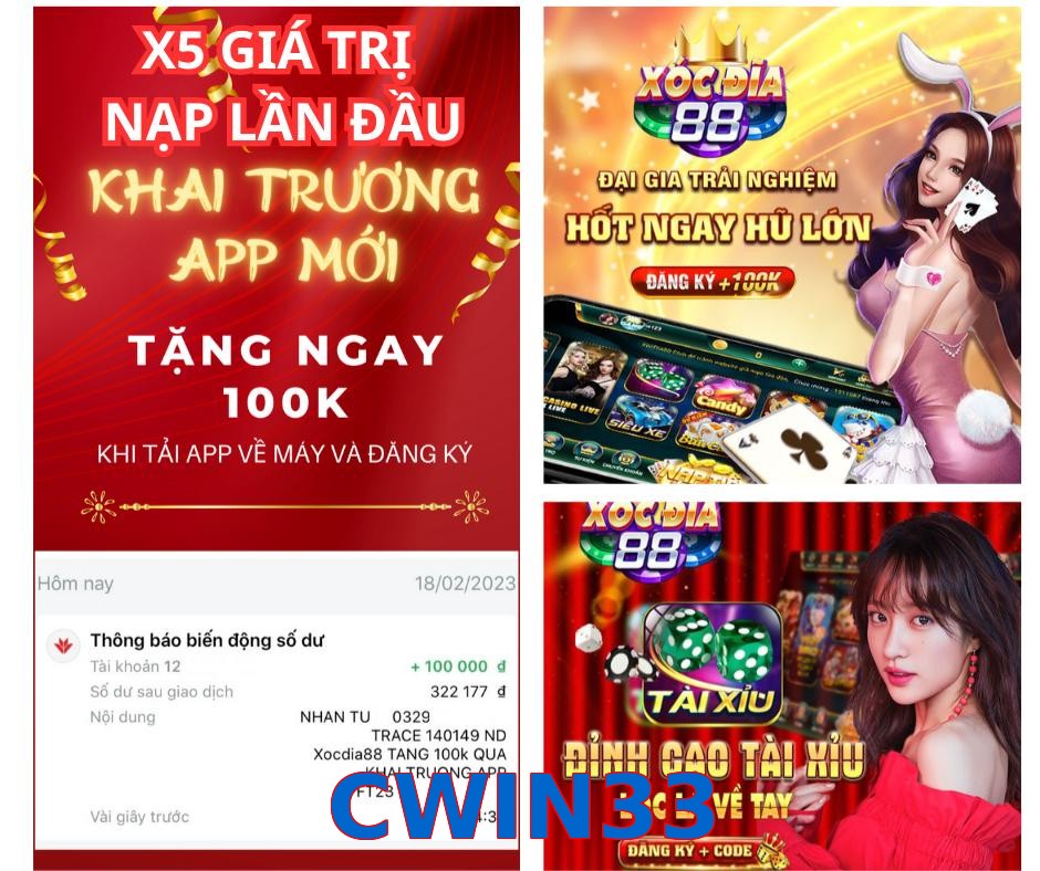 CWIN33
